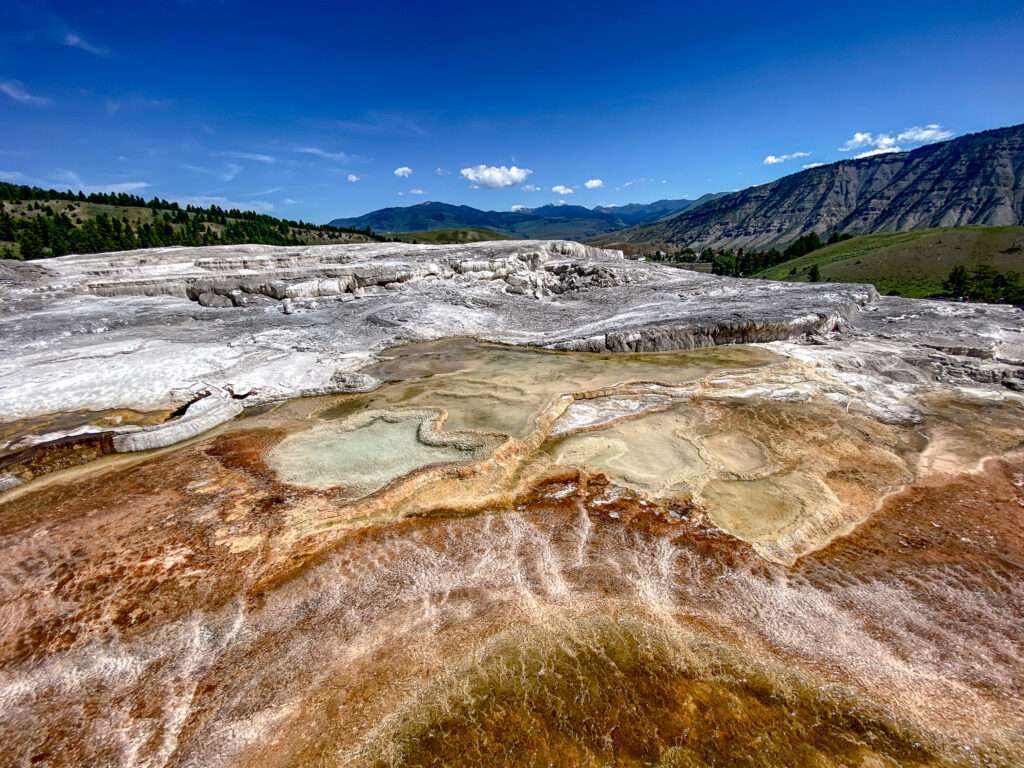 24 Hours in Yellowstone National Park